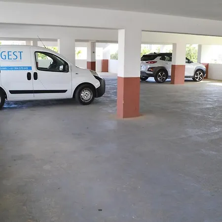 Rosa Flat * פורטימאו